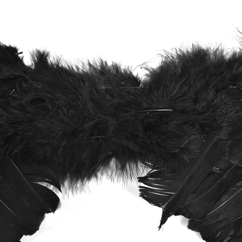 Angel Wings