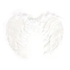 Angel Wings