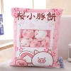 Bag of Piggy Plushies