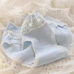 Blue Lace Cotton Sweetheart Undies