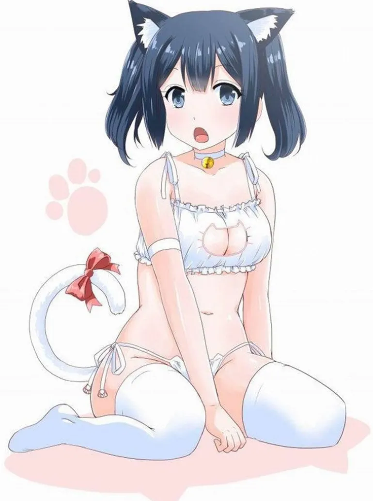 Cat Cosplay Full Lingerie Set