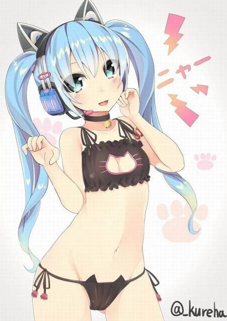 Cat Cosplay Full Lingerie Set