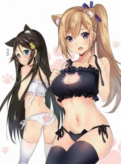 Cat Cosplay Full Lingerie Set