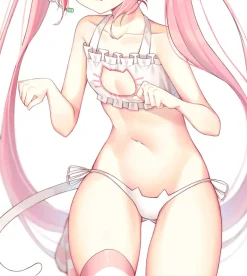 Cat Cosplay Full Lingerie Set