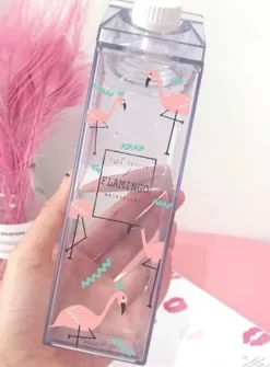 Clear Milk Carton Bottle