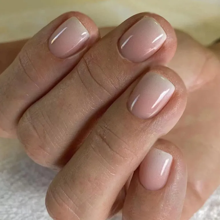 Clear Neutral Tone Press On Nails