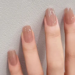 Clear Neutral Tone Press On Nails