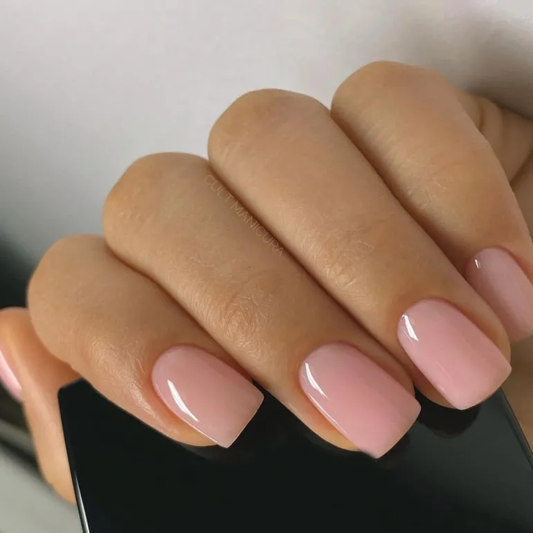 Clear Neutral Tone Press On Nails
