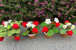 Crochet Strawberry Plants