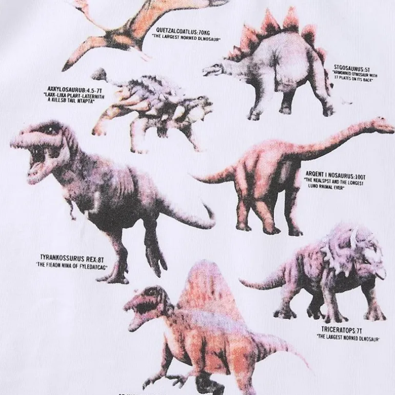 Dino Crop Top