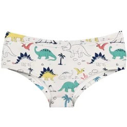 Dino Panties