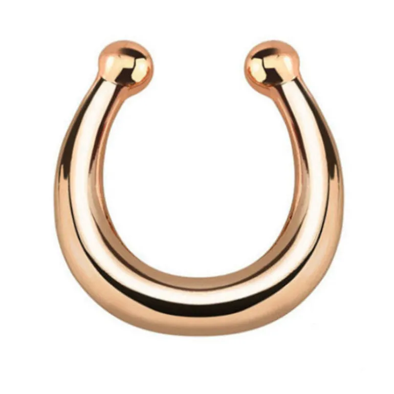 Fake Septum Nose Ring