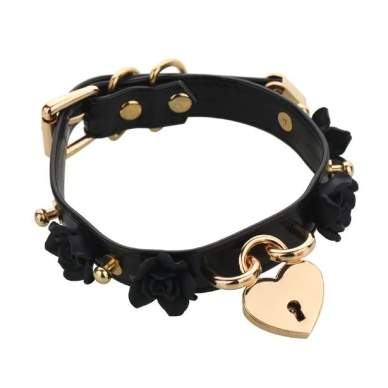Golden Heart Locket Collar