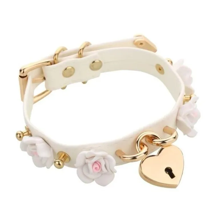 Golden Heart Locket Collar