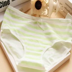 Hatsune Miku Undies