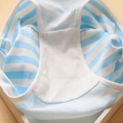 Hatsune Miku Undies