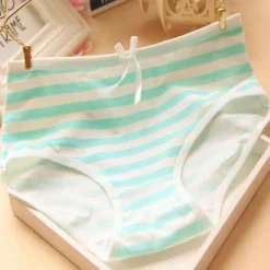 Hatsune Miku Undies