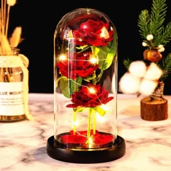 Immortal Rose Light