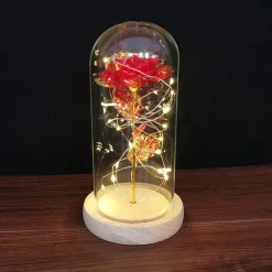 Immortal Rose Light
