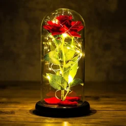 Immortal Rose Light