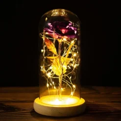 Immortal Rose Light