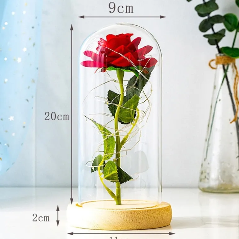Immortal Rose Light