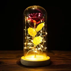 Immortal Rose Light