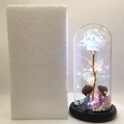 Immortal Rose Light