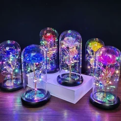 Immortal Rose Light