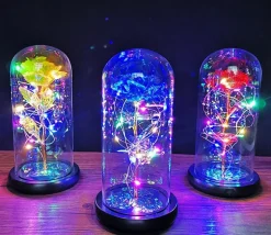 Immortal Rose Light