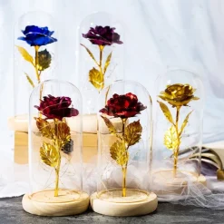 Immortal Rose Light