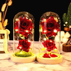 Immortal Rose Light