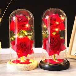 Immortal Rose Light