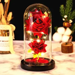 Immortal Rose Light