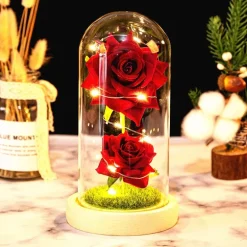 Immortal Rose Light
