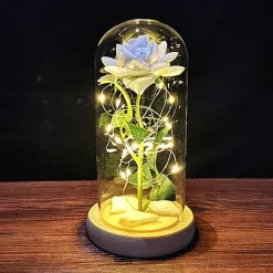 Immortal Rose Light