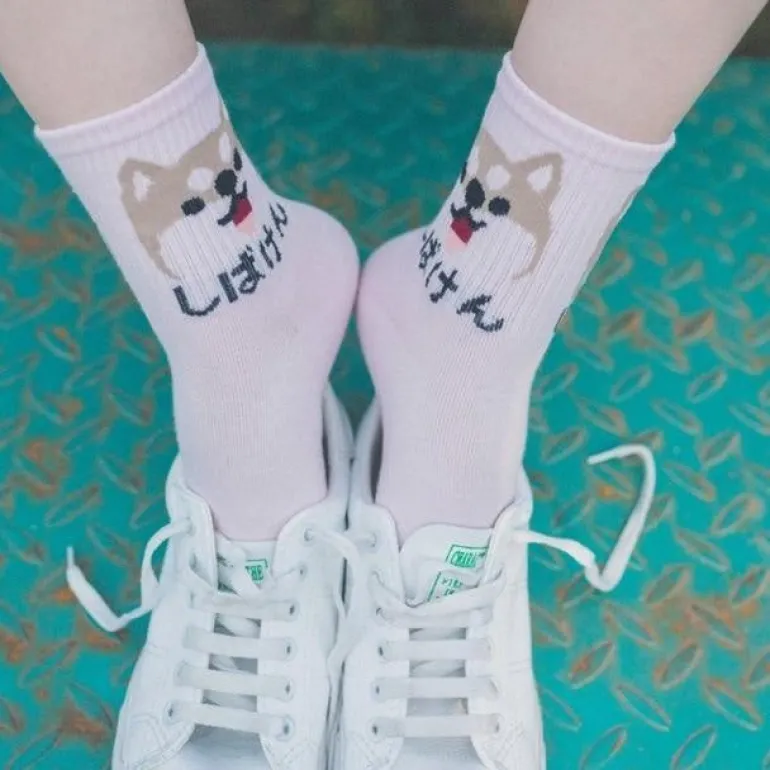 Japanese Dino Socks