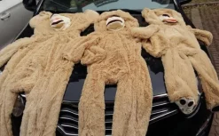 Jumbo Teddy