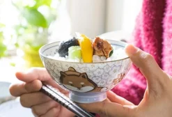 Kawaii Oriental Noodle Bowls