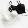 Lace Camisole