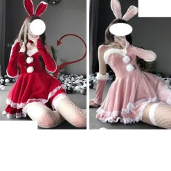Luxury Santa Bunny Dress Set