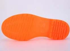 Ombre Transparent Rain Boots