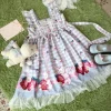 Plaid Strawberry Bunny Princess Dress