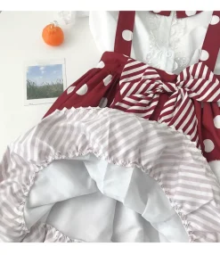 Polkadot Princess Suspender Skirt