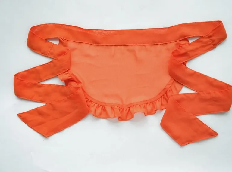 Pumpkin Maid Cosplay Set