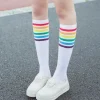 Rainbow Striped Pride Knee Socks