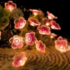 Sakura Blossom String Lights