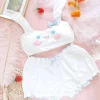 Summer Lovin' Puppy Set