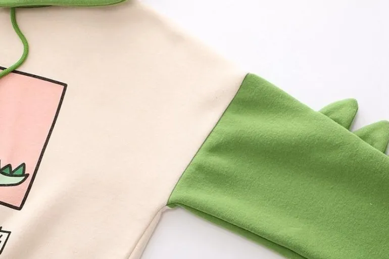 Sweet Japanese Dino Hoodie