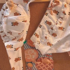 Teddy Bear Lingerie Set